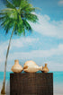 Tropical Palm Tree Wall Mural – Beach Shore Painting. #6911