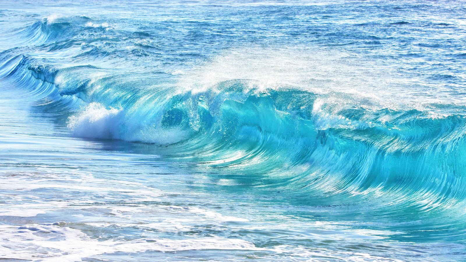 Turquoise Ocean Wave Wallpaper. Surf Ocean Wave Wall Mural. #6924