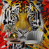Glamour Chic Colorful Jungle Tiger Wall Mural. #6926