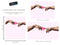 Pink Wallpaper Mural. Creation of Adam Wall Mural. Michelangelo Sistine Chapel. #6931