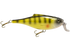 BullDozer