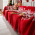 Cozy Chenille Couch Cover Blanket, Non Slip Sofa Cover, Furniture Covers for Pets