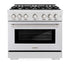 ZLINE 36" Select Dual Fuel Range Gas Cooktop Electric Convection Oven DuraSnow® Stainless Steel HDRS-36