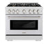 ZLINE 36" Select Dual Fuel Range Gas Cooktop Electric Convection Oven DuraSnow® Stainless Steel Brass Burners HDRS-BR-36