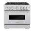 ZLINE 36" Classic Gas Range, Convection Gas Oven, Stainless Steel, Brass Burners, CGR-BR-36