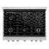 ZLINE 36"Paramount Dual Fuel Range DuraSnow® Stainless Steel SDRS-36