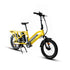 G30-CARGO 2.0 - Electric Bicycle