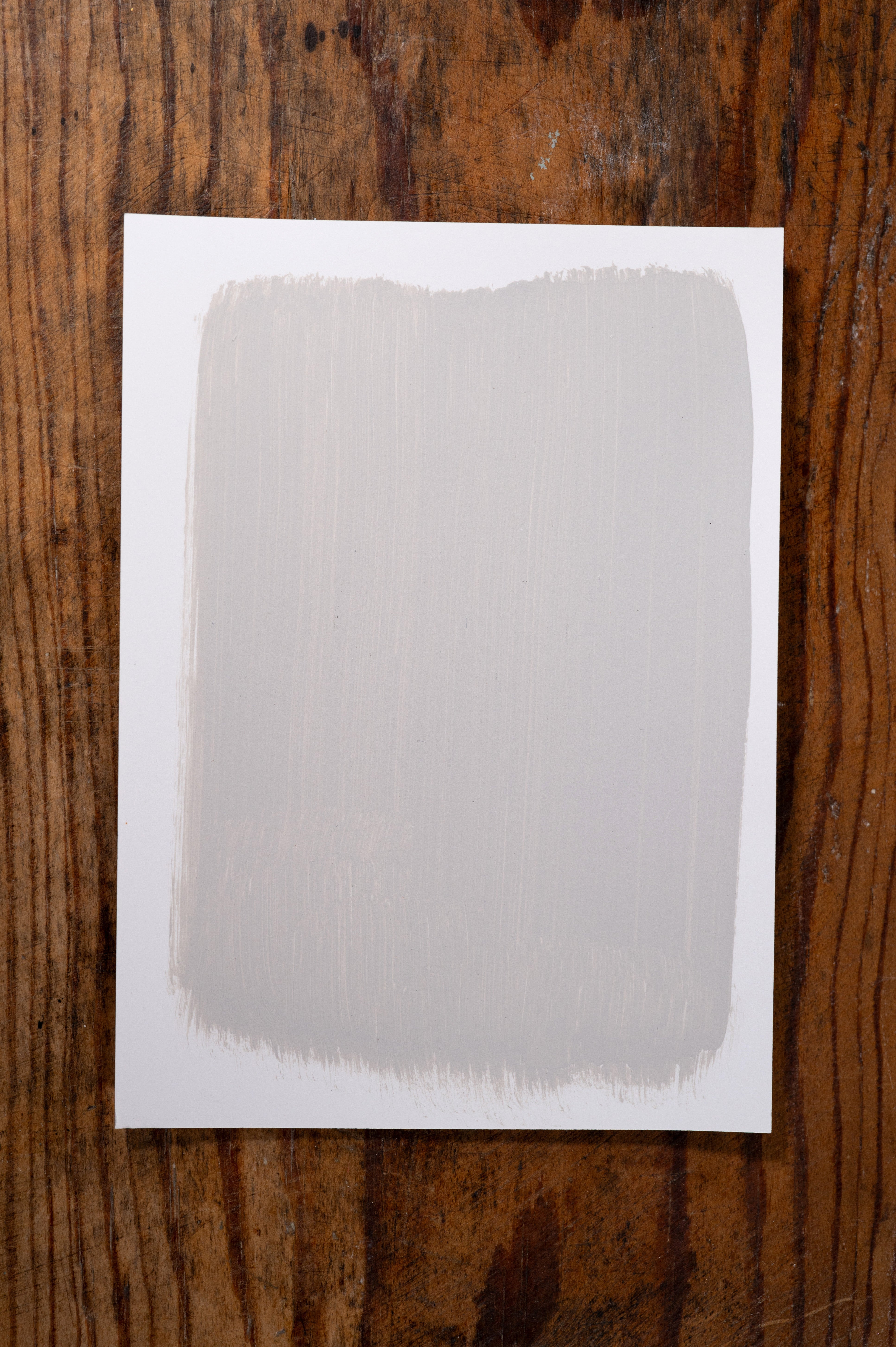 Believe in Destiny - Manor Borne Wall Paint