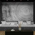 Tree Rings Wallpaper Mural. Black and White  Modern Wood Grain Circle Pattern. #7022