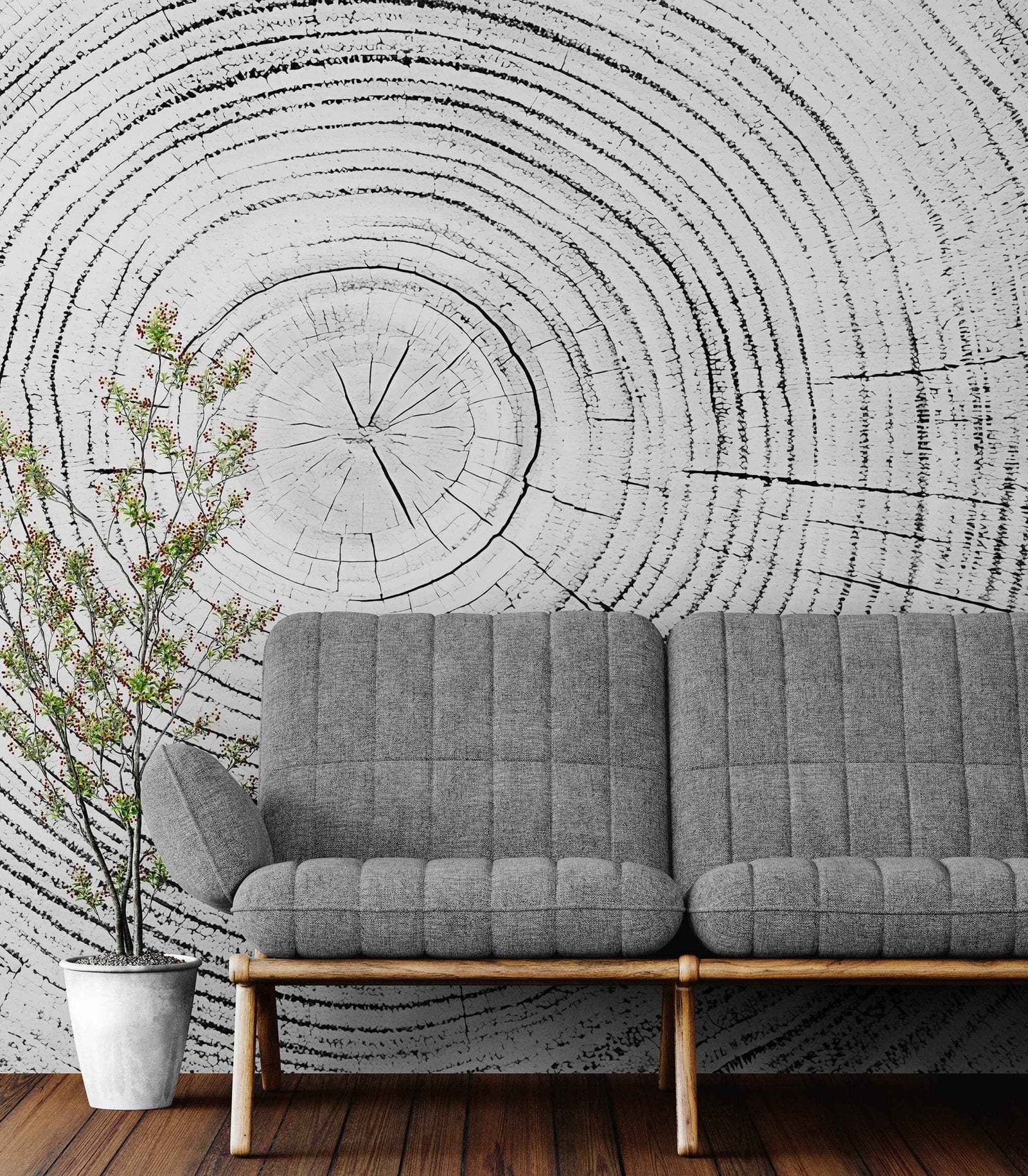 Tree Rings Wallpaper Mural. Black and White  Modern Wood Grain Circle Pattern. #7022