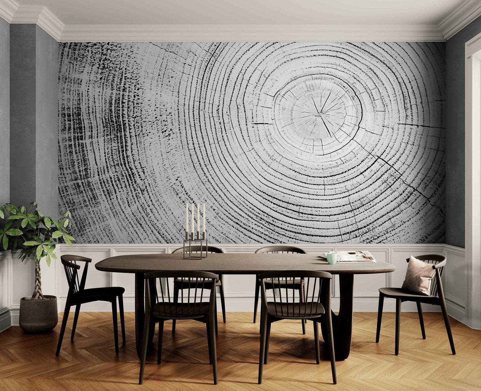 Tree Rings Wallpaper Mural. Black and White  Modern Wood Grain Circle Pattern. #7022