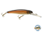 Voyager
