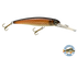 Voyager