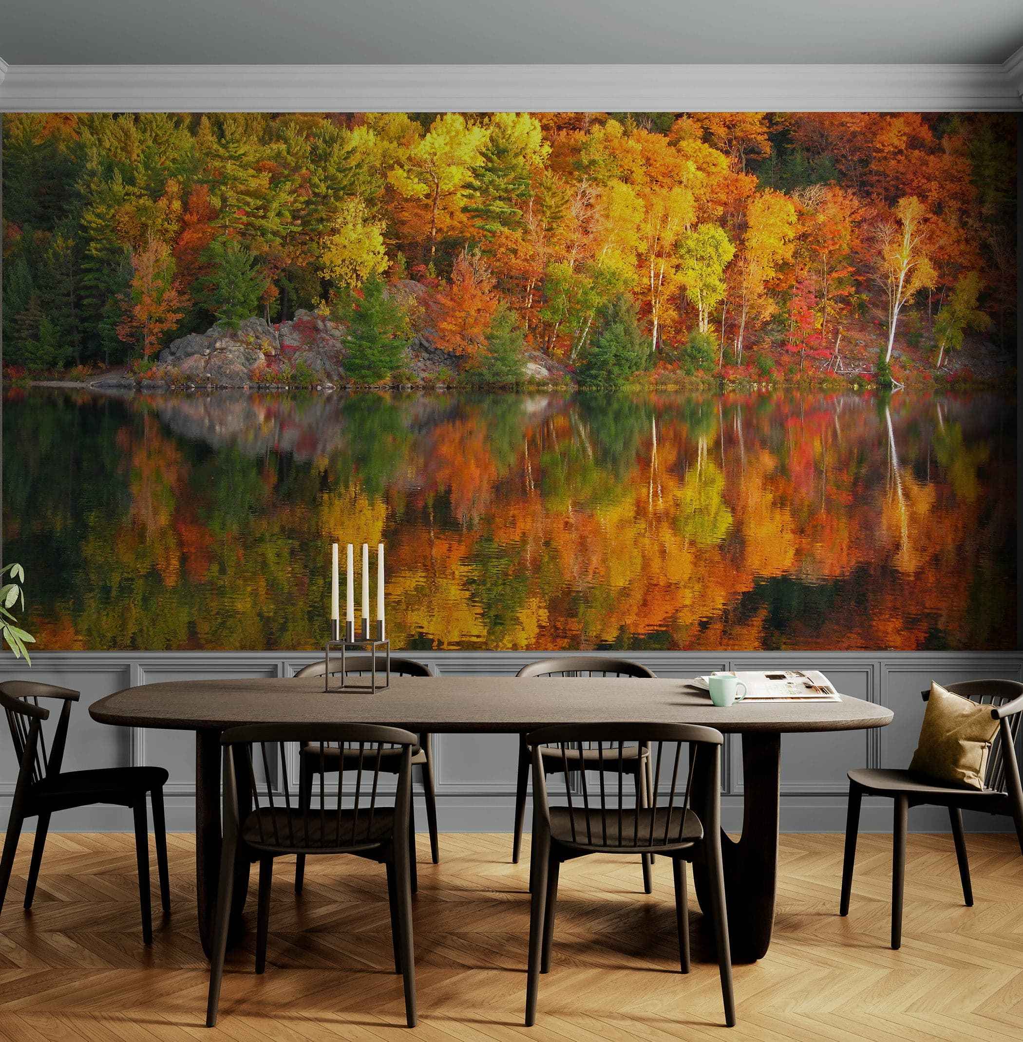 Colorful Autumn Forest Over Lake Wall Mural. Fall Foliage. #7052
