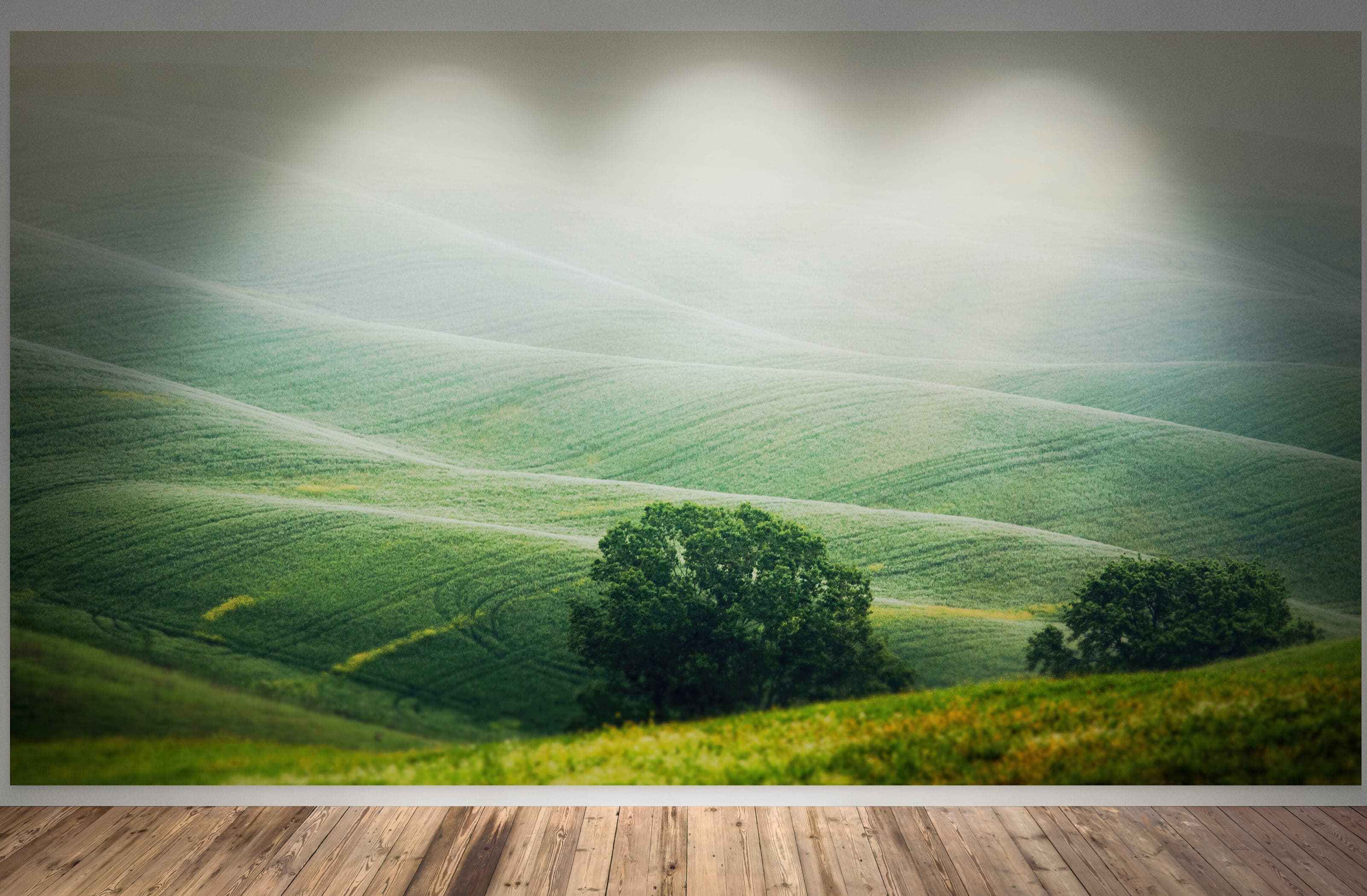 Tuscany Rolling Hills Meadow Wall Mural. Italian Countryside. #7053