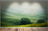 Tuscany Rolling Hills Meadow Wall Mural. Italian Countryside. #7053