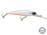 Voyager