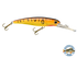 Voyager