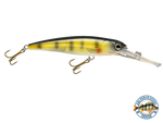 Voyager