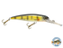 Voyager