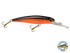 Voyager