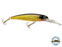 Voyager