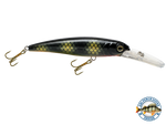 Voyager