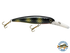 Voyager