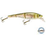 Head Hunter 6"