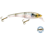 Head Hunter 8"