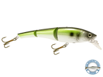 Head Hunter 6"