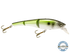 Head Hunter 6"