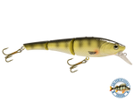 Head Hunter 8"