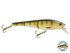 Head Hunter 6"