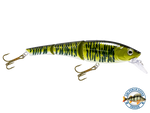 Head Hunter 6"