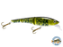 Head Hunter 6"