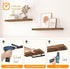 HOOBRO Floating Shelves for Wall, Wall Mounted Shelf Set of 2, 31.5" Hanging Shelf with Invisible Brackets, for Wall in Bathroom, Bedroom, Toilet, Kitchen, Living Room, Office, Rustic Brown BF80BJP201