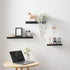 JOOM Black Floating Shelves for Wall Storage, Metal Wall Shelves for Living Room, Bathroom, Kitchen, 16” Display Shelves for Collectibles(2 PCS)