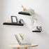 JOOM 2 PCS Small Floating Shelf, 12'' Metal Wall Shelf, Black, Bathroom, Durable, Waterproof, 5.0lbs Weight Capacity
