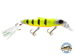 Striker