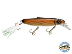 Striker
