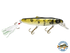 Striker