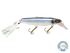 Striker