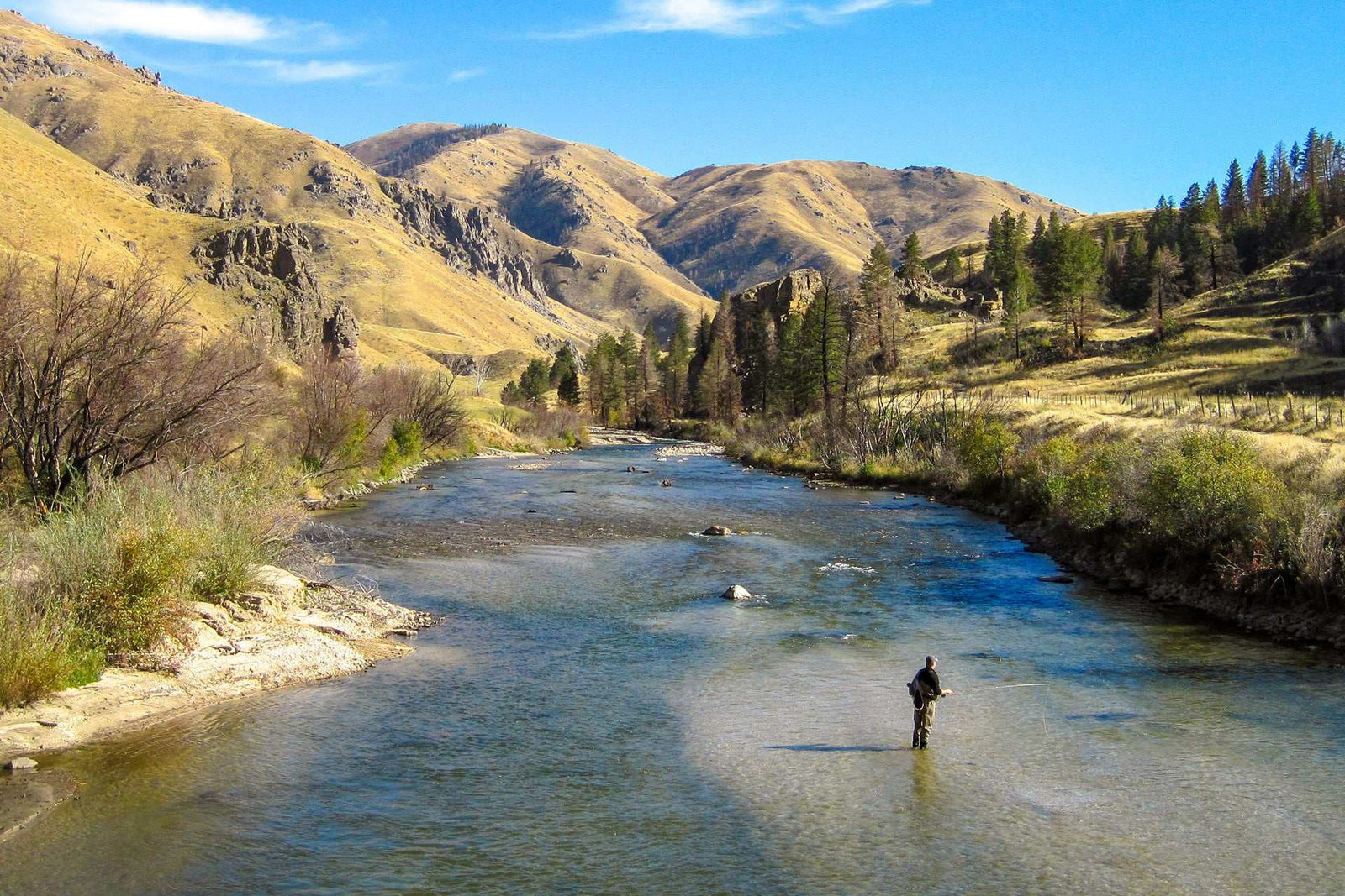 Chubby Chernobyl Ant Purple Foam Body Grasshopper Fly - 1 Dozen Flies Hook Size 10
