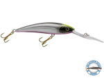 Interceptor