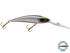 Interceptor