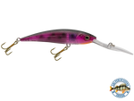 Interceptor