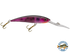 Interceptor