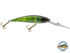 Interceptor