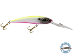 Interceptor